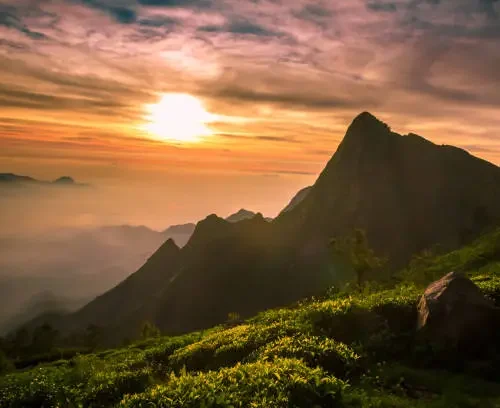 sunrisesouth