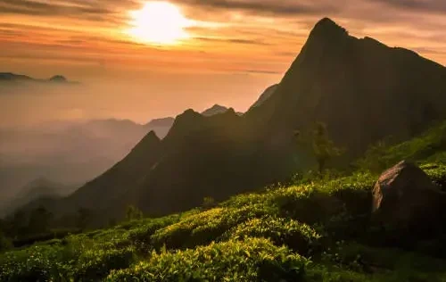sunrisesouth